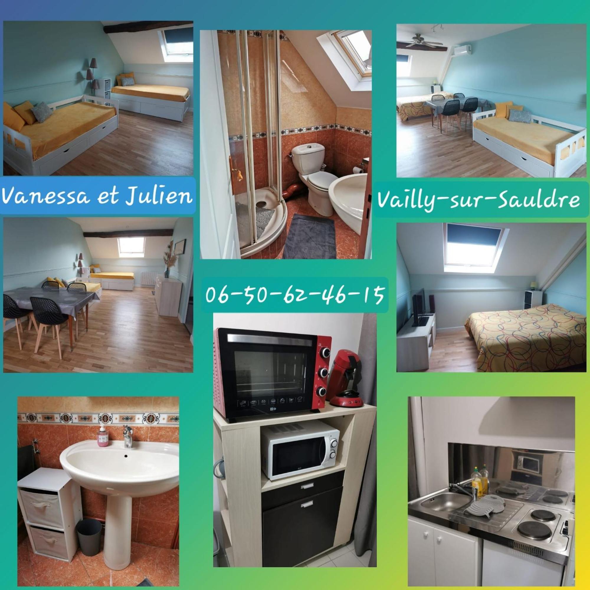 Apartamento Vanessa Et Julien 2 Vailly-sur-Sauldre Exterior foto